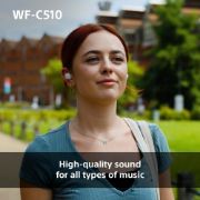 Picture of Sony WF-C510 Wireless Earbuds, Multipoint, Ambient Sound, IPX4, 22H Battery, Black